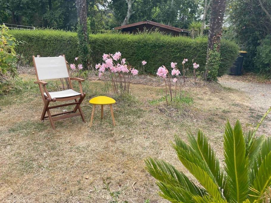 Ty France Villa Crozon Exteriör bild